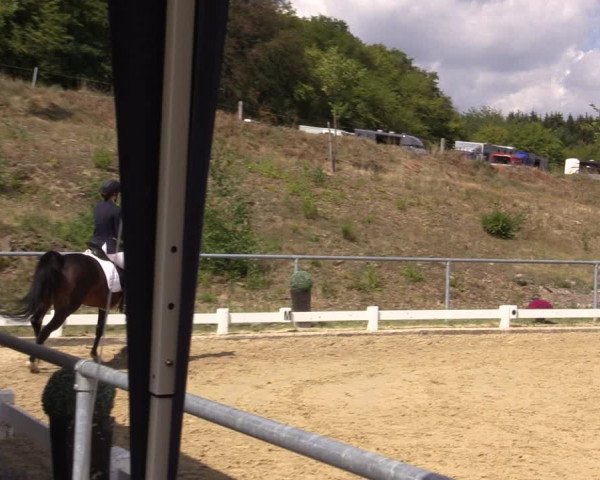 Reitturnier Bühren-Breckerfeld 2018