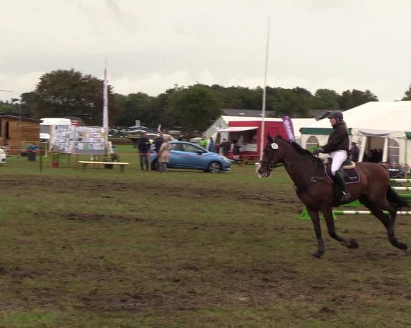 Reitturnier Löwenstedt 2018