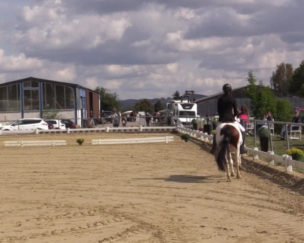 Reitturnier Bühren-Breckerfeld 2018