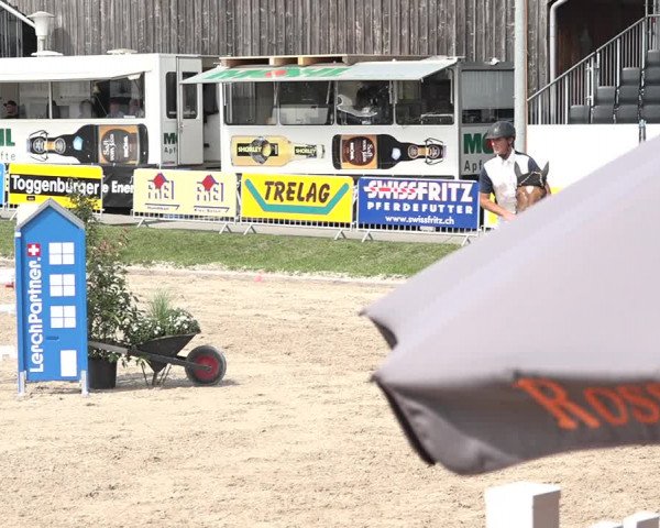 FEI Reitturnier Humlikon (SUI) 2018
