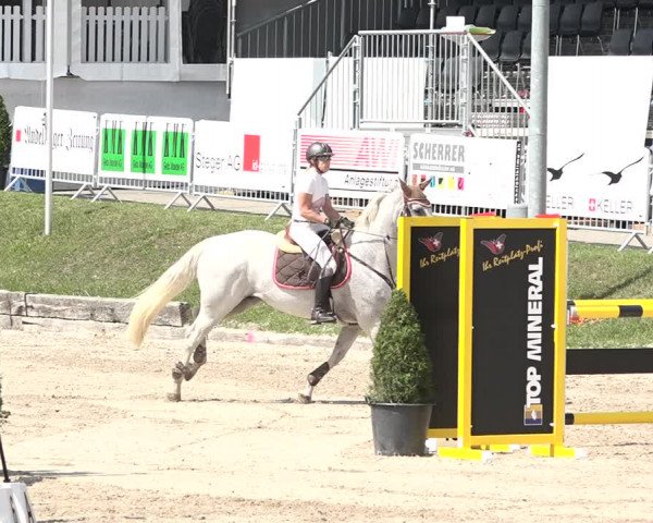 FEI Reitturnier Humlikon (SUI) 2018