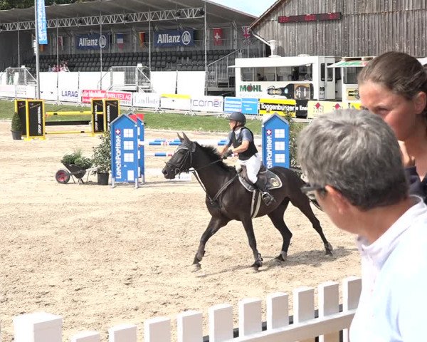 FEI Reitturnier Humlikon (SUI) 2018
