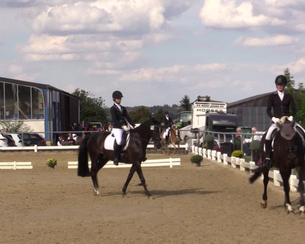 Reitturnier Bühren-Breckerfeld 2018