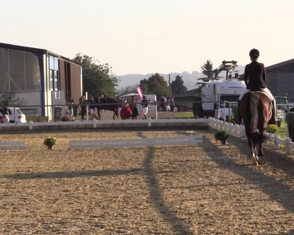 Reitturnier Bühren-Breckerfeld 2018