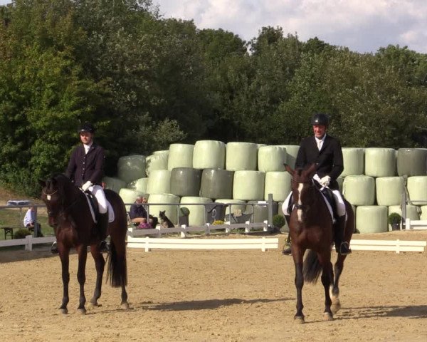 Reitturnier Bühren-Breckerfeld 2018