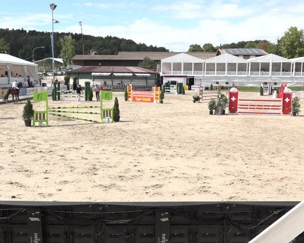 FEI Reitturnier Humlikon (SUI) 2018
