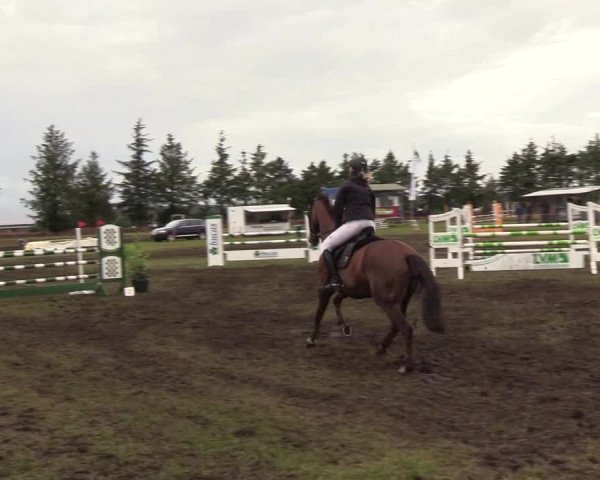 Reitturnier Löwenstedt 2018