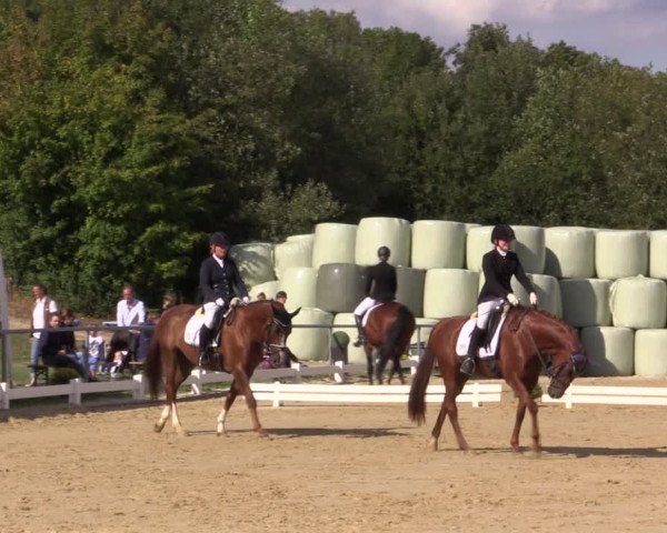 Reitturnier Bühren-Breckerfeld 2018