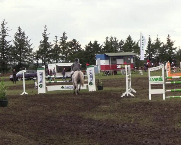 Reitturnier Löwenstedt 2018