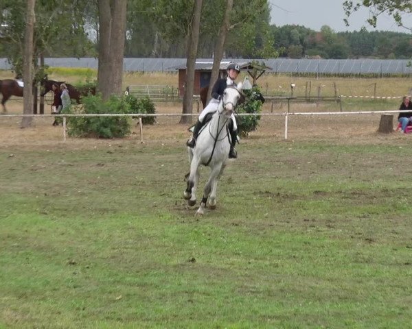 Reitturnier Reckahn 2018