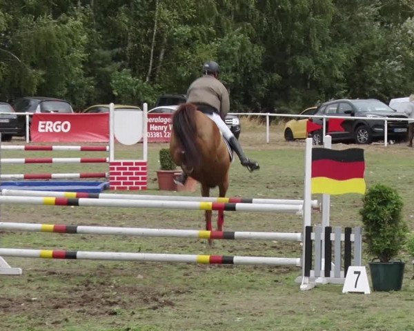 Reitturnier Reckahn 2018
