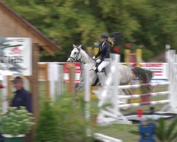 Reitturnier Reckahn 2018