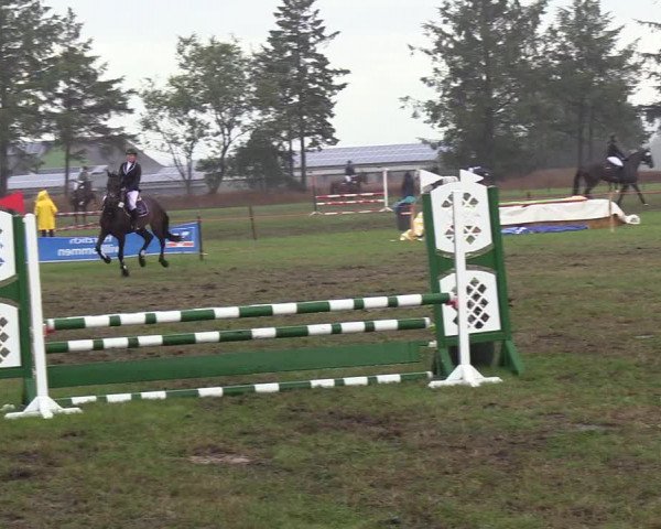 Reitturnier Löwenstedt 2018