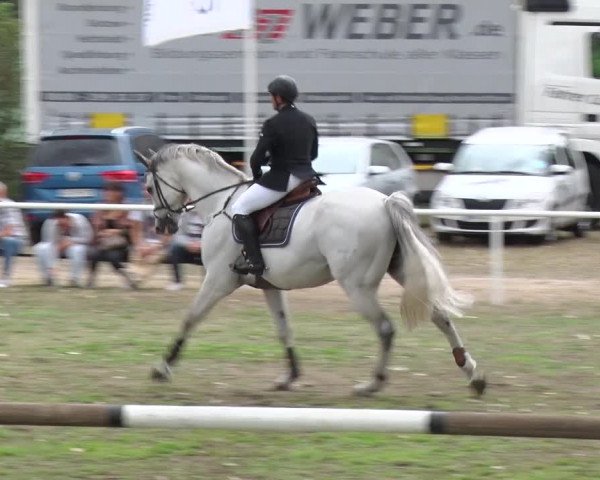 Reitturnier Reckahn 2018