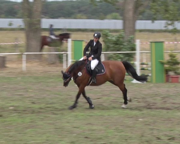 Reitturnier Reckahn 2018