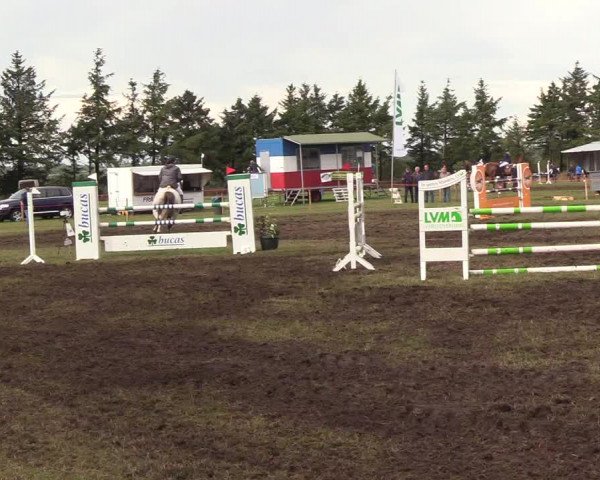 Reitturnier Löwenstedt 2018