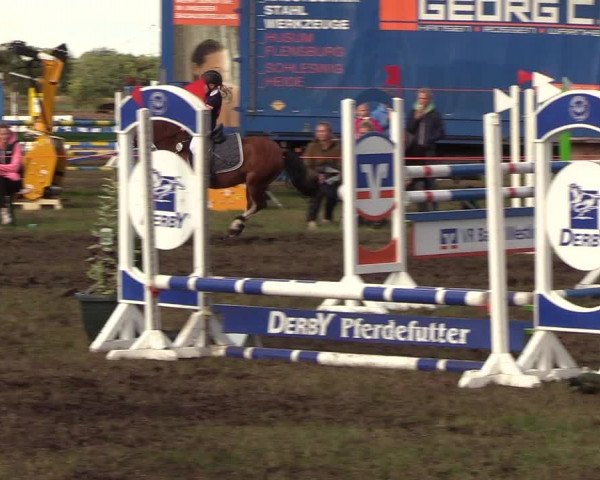 Reitturnier Löwenstedt 2018