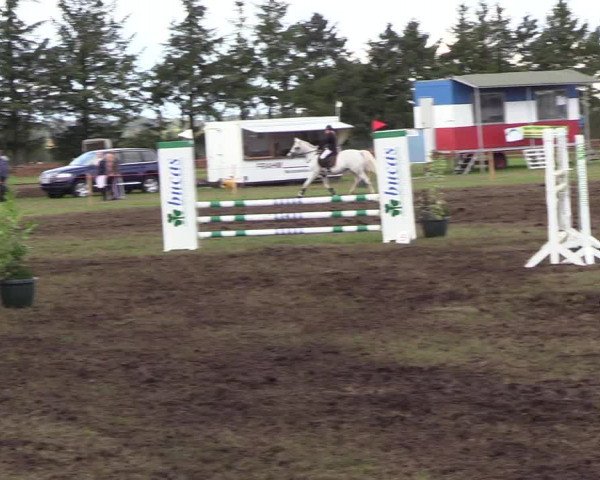 Reitturnier Löwenstedt 2018