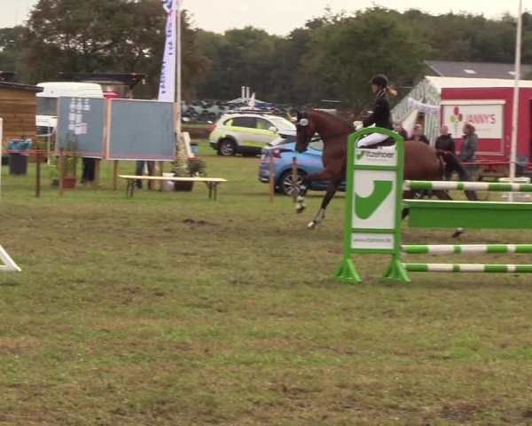 Reitturnier Löwenstedt 2018