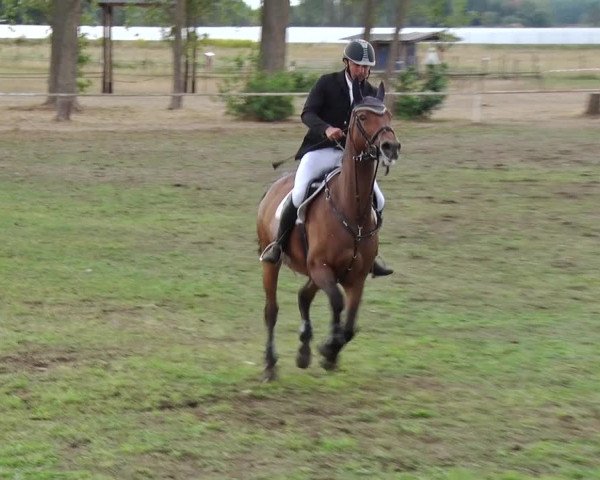 Reitturnier Reckahn 2018