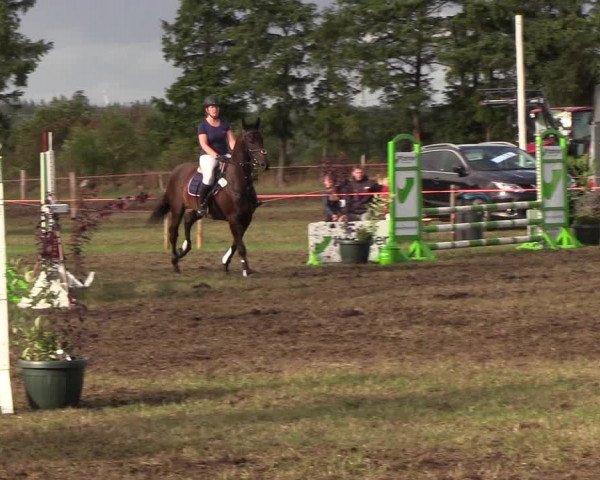 Reitturnier Löwenstedt 2018