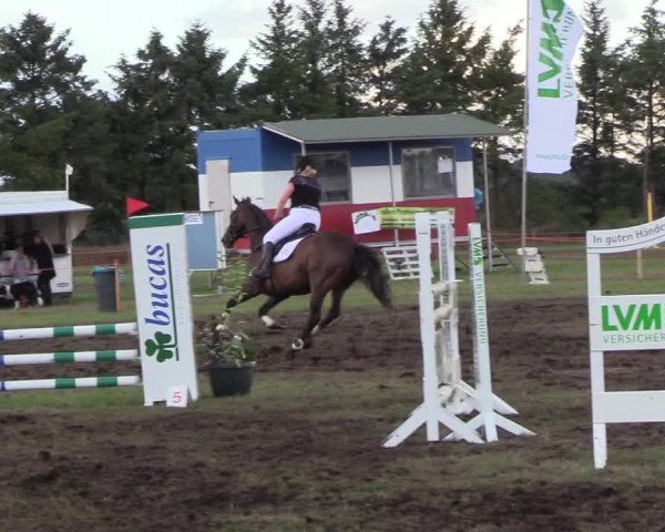 Reitturnier Löwenstedt 2018