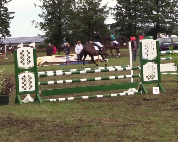 Reitturnier Löwenstedt 2018