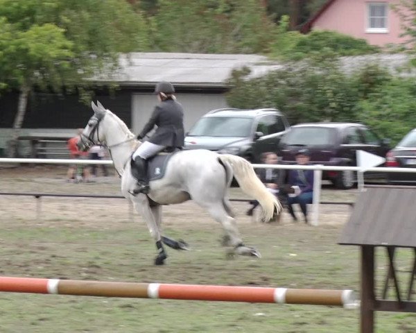 Reitturnier Reckahn 2018