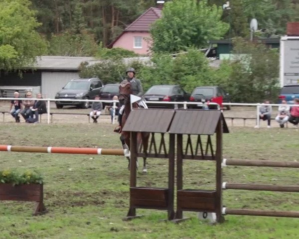 Reitturnier Reckahn 2018