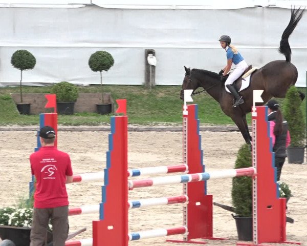 FEI Reitturnier Humlikon (SUI) 2018