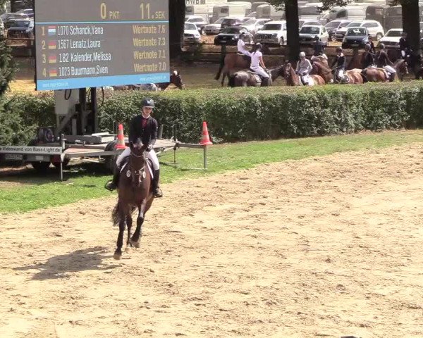 Reitturnier Recklinghausen 2018