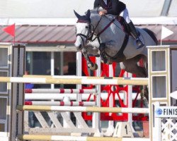 jumper Laragh Storm (Connemara Pony, 2009, from Leág)