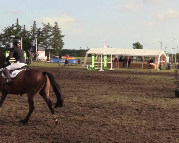 Reitturnier Löwenstedt 2018