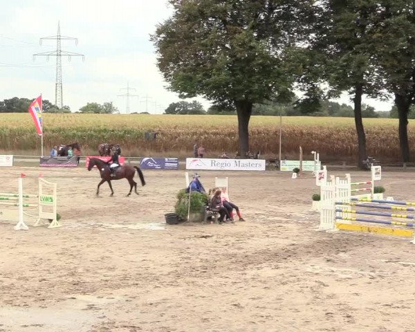 Reitturnier Recklinghausen 2018