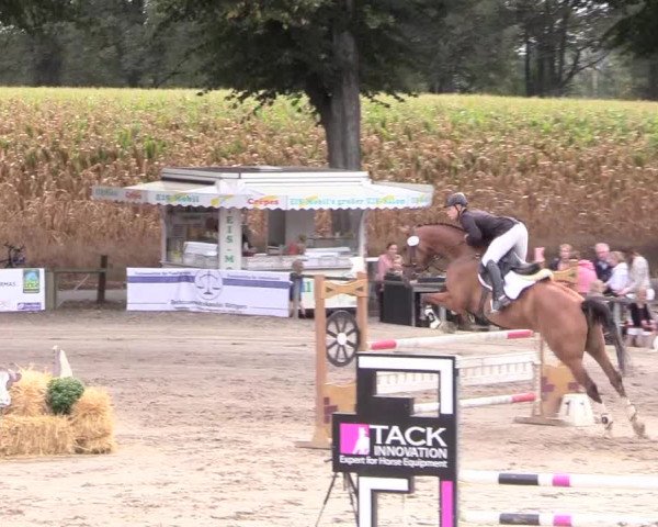 Reitturnier Recklinghausen 2018