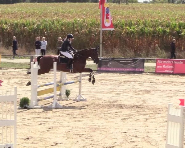 Reitturnier Recklinghausen 2018