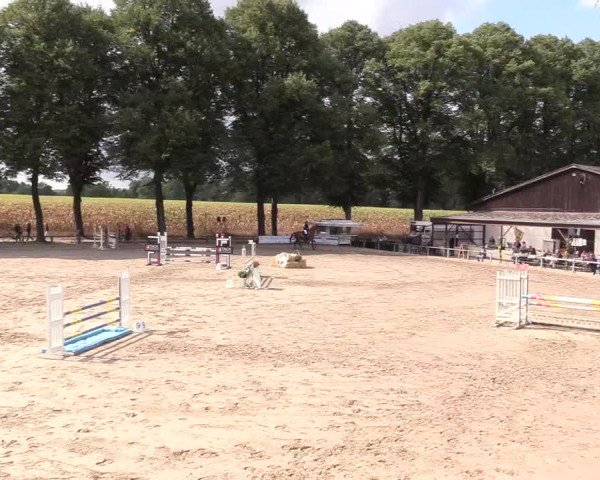 Reitturnier Recklinghausen 2018