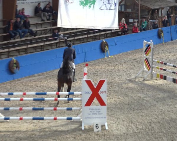 Reitturnier Sögel 2021