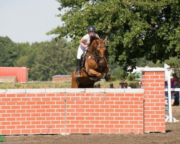 jumper Commander Fox (Mecklenburg, 2008, from Concreto 174 FIN)