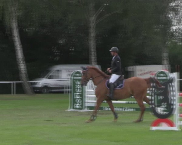 Reitturnier Berlin-Malchow 2018