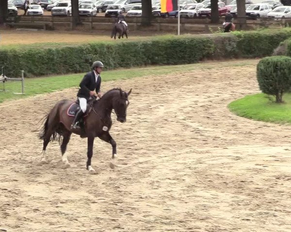 Reitturnier Recklinghausen 2018