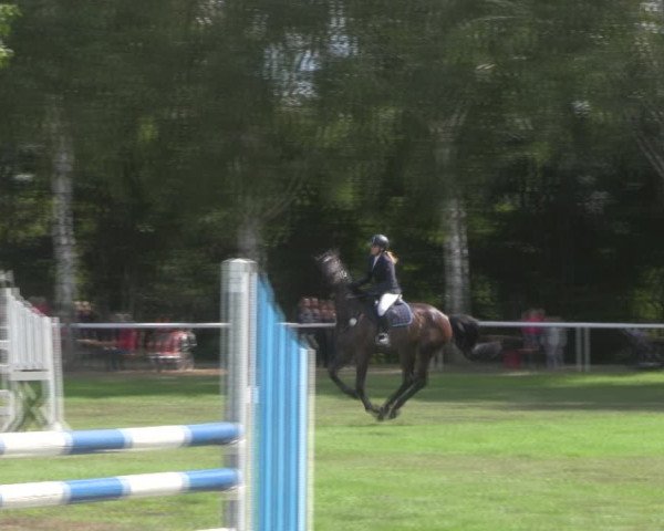 Reitturnier Berlin-Malchow 2018