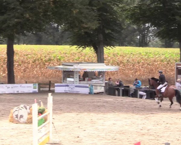 Reitturnier Recklinghausen 2018
