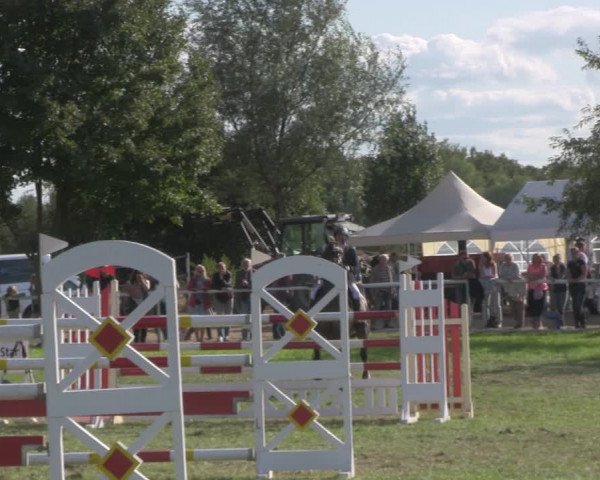 Reitturnier Berlin-Malchow 2018