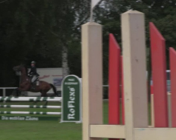 Reitturnier Berlin-Malchow 2018
