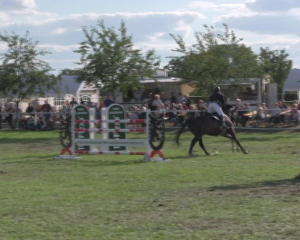 Reitturnier Berlin-Malchow 2018