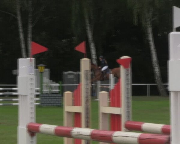 Reitturnier Berlin-Malchow 2018