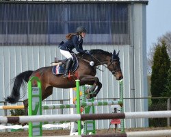 broodmare Saluise (Holsteiner, 2002, from Contender)