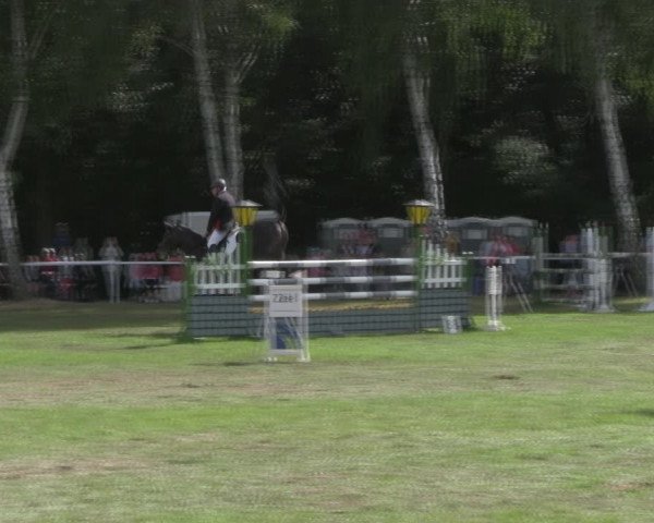 Reitturnier Berlin-Malchow 2018