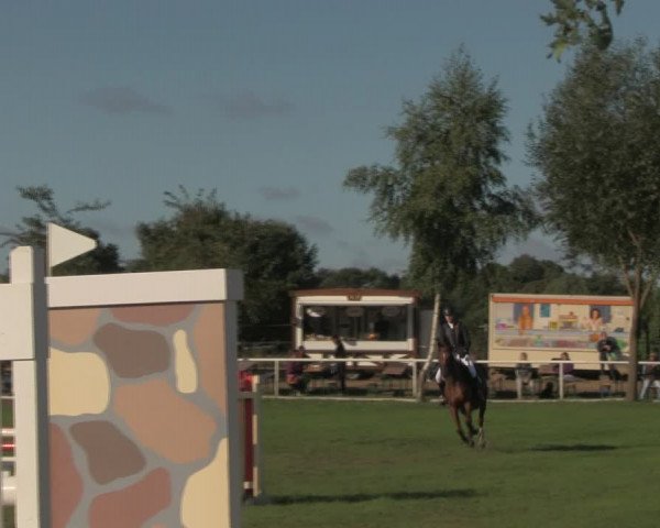Reitturnier Berlin-Malchow 2018